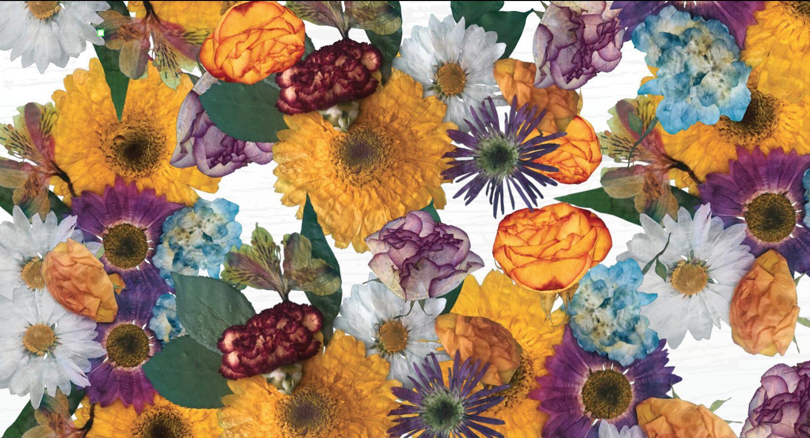 The Floral Preservation Co.